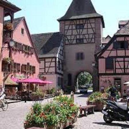 Gite Les Cigogneaux Turckheim Buitenkant foto