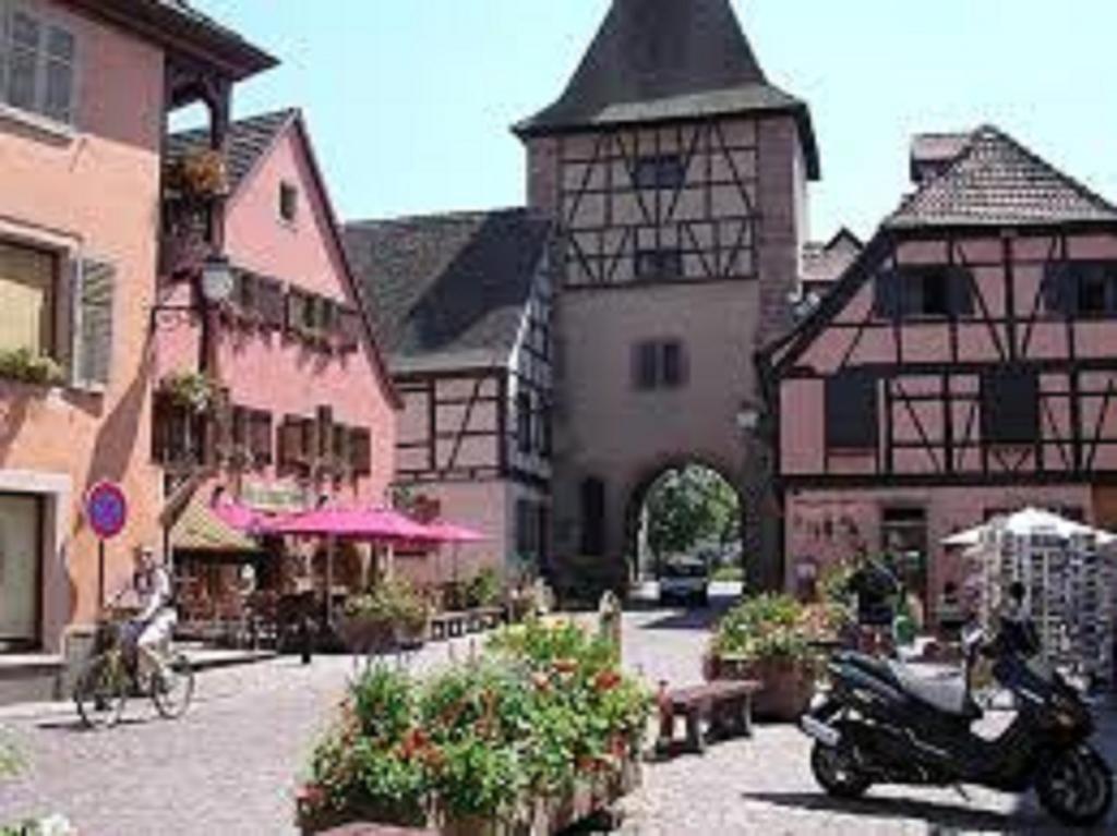 Gite Les Cigogneaux Turckheim Buitenkant foto